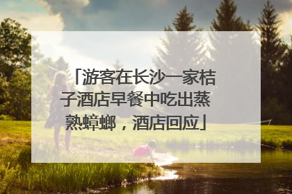 游客在长沙一家桔子酒店早餐中吃出蒸熟蟑螂，酒店回应