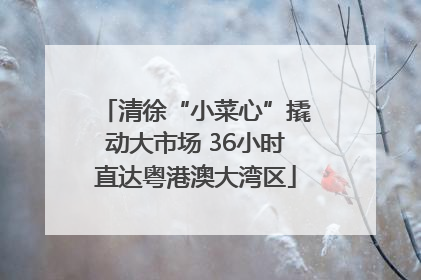 清徐“小菜心”撬动大市场 36小时直达粤港澳大湾区