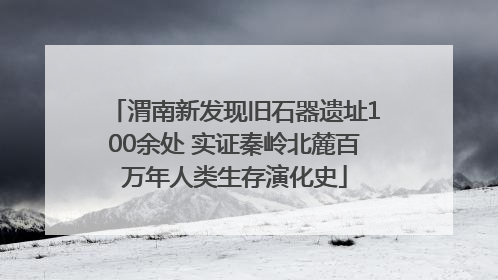 渭南新发现旧石器遗址100余处 实证秦岭北麓百万年人类生存演化史