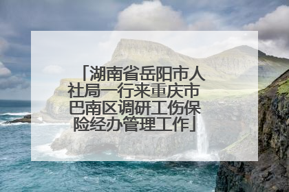 湖南省岳阳市人社局一行来重庆市巴南区调研工伤保险经办管理工作