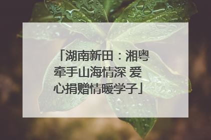 湖南新田：湘粤牵手山海情深 爱心捐赠情暖学子