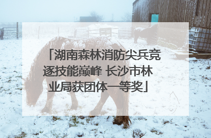 湖南森林消防尖兵竞逐技能巅峰 长沙市林业局获团体一等奖