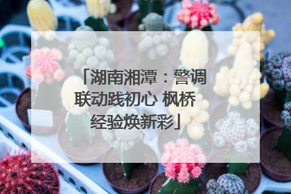 湖南湘潭：警调联动践初心 枫桥经验焕新彩