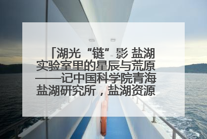 湖光“链”影 盐湖实验室里的星辰与荒原——记中国科学院青海盐湖研究所，盐湖资源化学实验室党总支书记、副主任刘忠