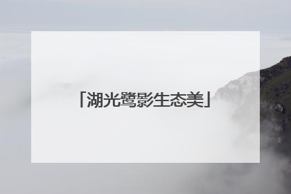 湖光鹭影生态美