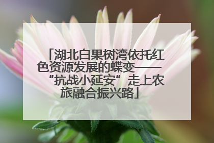 湖北白果树湾依托红色资源发展的蝶变——“抗战小延安”走上农旅融合振兴路