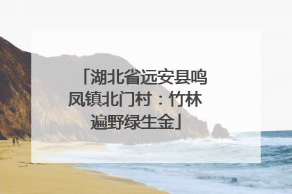 湖北省远安县鸣凤镇北门村：竹林遍野绿生金