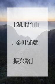 湖北竹山：金叶铺就振兴路