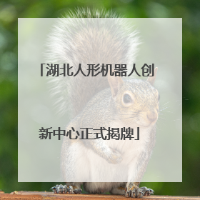 湖北人形机器人创新中心正式揭牌