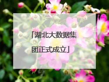 湖北大数据集团正式成立