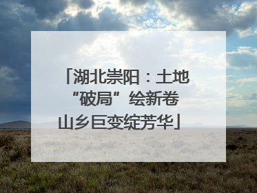 湖北崇阳：土地“破局”绘新卷 山乡巨变绽芳华