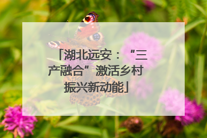 湖北远安：“三产融合”激活乡村振兴新动能