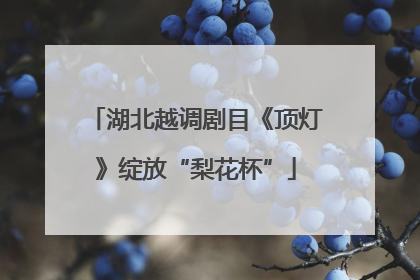 湖北越调剧目《顶灯》绽放“梨花杯”