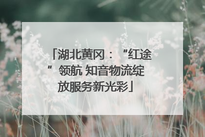 湖北黄冈：“红途”领航 知音物流绽放服务新光彩