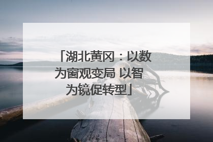 湖北黄冈：以数为窗观变局 以智为镜促转型