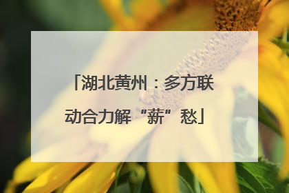 湖北黄州：多方联动合力解“薪”愁