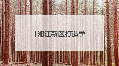 湘江新区打造学前教育新标杆