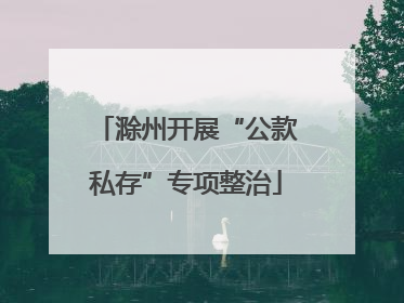 滁州开展“公款私存”专项整治