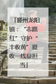 滕州龙阳镇：“志愿红”守护“丰收黄”夏收一线显担当