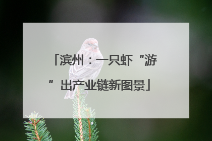 滨州：一只虾“游”出产业链新图景