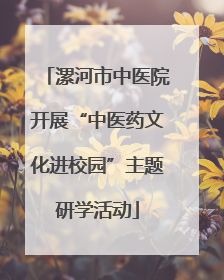 漯河市中医院开展“中医药文化进校园”主题研学活动