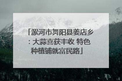 漯河市舞阳县姜店乡：大蒜喜获丰收 特色种植铺就富民路