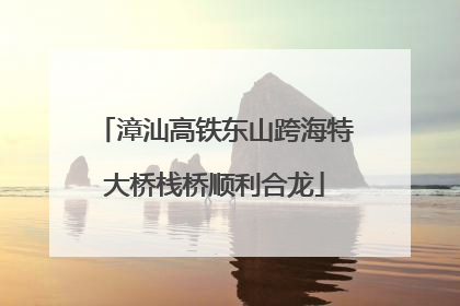 漳汕高铁东山跨海特大桥栈桥顺利合龙