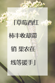 草莓西红柿丰收却滞销 果农在线等援手