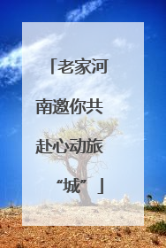 老家河南邀你共赴心动旅“城”