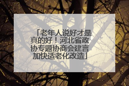 老年人说好才是真的好！河北省政协专题协商会建言加快适老化改造
