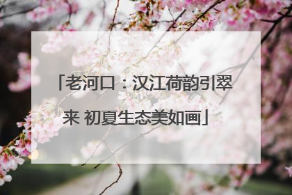 老河口：汉江荷韵引翠来 初夏生态美如画