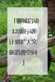 聊城启动12项行动计划扩大文旅消费空间
