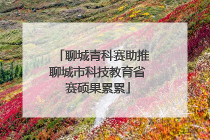 聊城青科赛助推聊城市科技教育省赛硕果累累