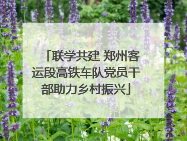 联学共建 郑州客运段高铁车队党员干部助力乡村振兴