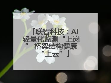 联智科技：AI轻量化监测“上岗” 桥梁结构健康“上云”