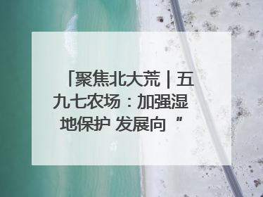 聚焦北大荒｜五九七农场：加强湿地保护 发展向“绿”而行