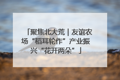 聚焦北大荒｜友谊农场“稻耳轮作”产业振兴“花开两朵”