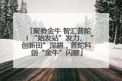聚势金牛 智汇普陀〡“始发站”发力、“创新田”深耕，普陀科创“金牛”闪耀