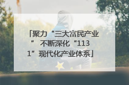 聚力“三大富民产业” 不断深化“1131”现代化产业体系
