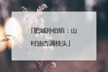肥城孙伯镇：山村油杏满枝头
