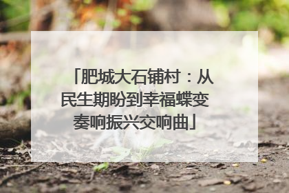 肥城大石铺村：从民生期盼到幸福蝶变奏响振兴交响曲