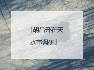 胡昌升在天水市调研