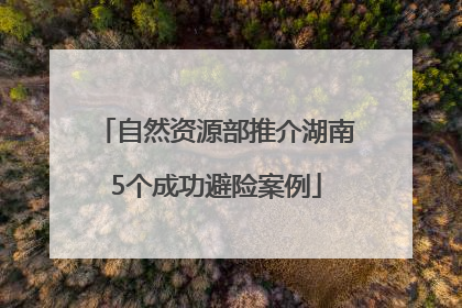 自然资源部推介湖南5个成功避险案例