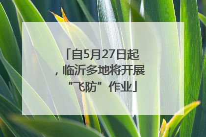 自5月27日起，临沂多地将开展“飞防”作业