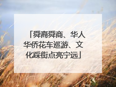 舜裔舜商、华人华侨花车巡游、文化踩街点亮宁远