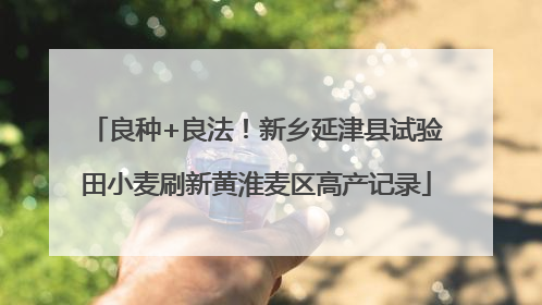 良种+良法！新乡延津县试验田小麦刷新黄淮麦区高产记录