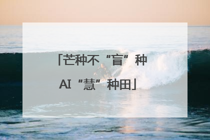 芒种不“盲”种 AI“慧”种田