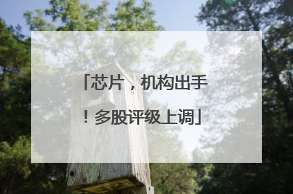 芯片，机构出手！多股评级上调