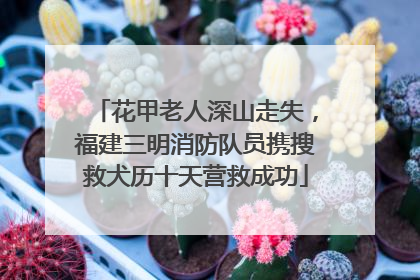 花甲老人深山走失，福建三明消防队员携搜救犬历十天营救成功
