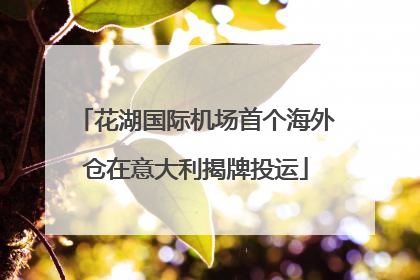花湖国际机场首个海外仓在意大利揭牌投运